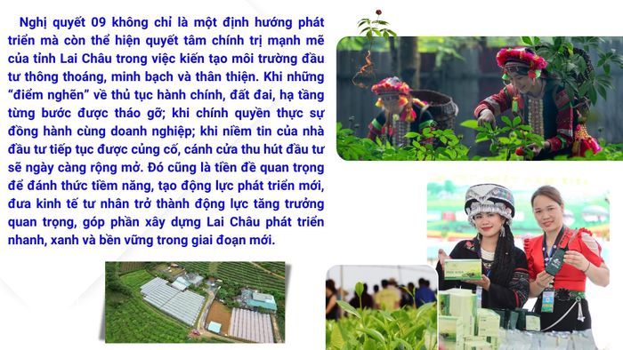(Còn nữa)