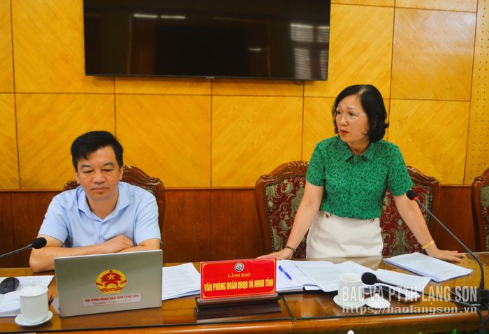 Lãnh đạo Văn phòng Đoàn Đại biểu Quốc hội và HĐND tỉnh phát biểu thảo luận tại cuộc họp