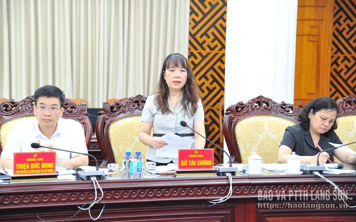 Lãnh đạo Sở Tài chính phát biểu tại hội nghị