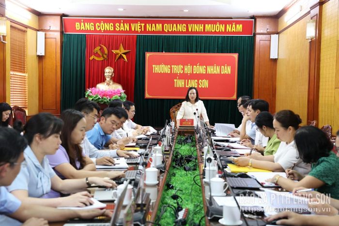 Đồng chí Đoàn Thị Hậu, Phó Bí thư Thường trực Tỉnh ủy, Chủ tịch HĐND tỉnh phát biểu kết luận phiên họp 