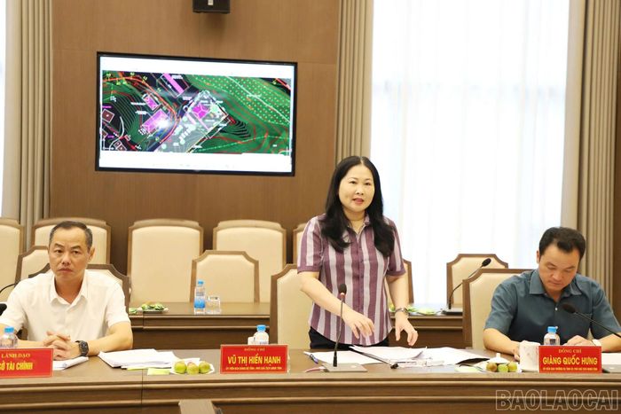 Đồng chí Vũ Thị Hiền Hạnh - Phó Chủ tịch UBND tỉnh phát biểu ý kiến.