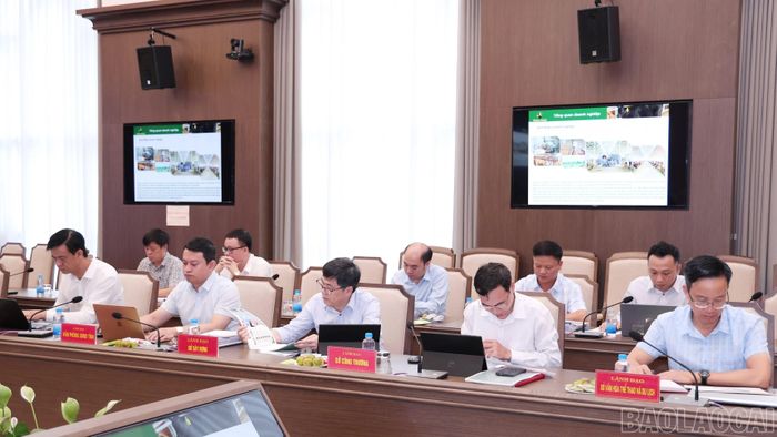 Đại biểu dự buổi làm việc.
