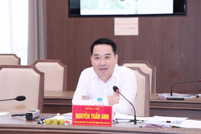 Đồng chí Nguyễn Tuấn Anh - Phó Bí thư Tỉnh ủy, Chủ tịch UBND tỉnh phát biểu tại buổi làm việc.