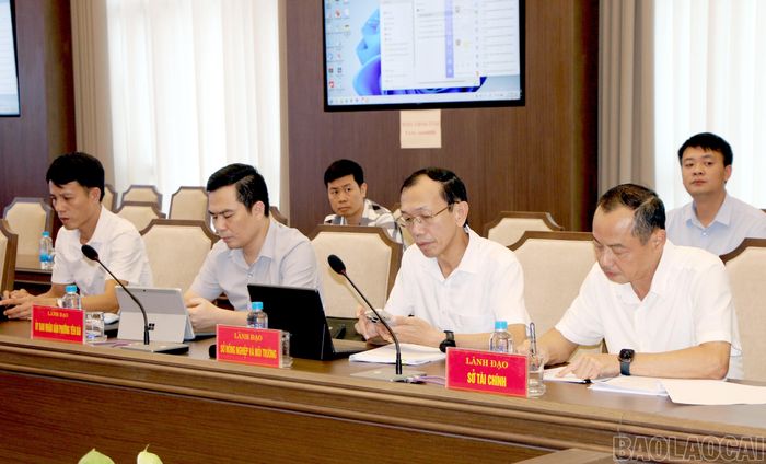 Các đại biểu tham dự cuộc họp.