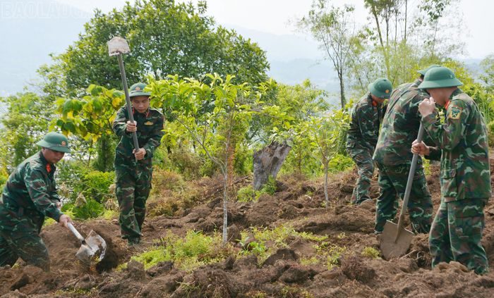 Cán bộ, chiến sĩ Đội tìm kiếm, quy tập hài cốt liệt sĩ miệt mài thực hiện nhiệm vụ dưới nắng gắt tại Điểm cao 350B, xã Bát Xát.