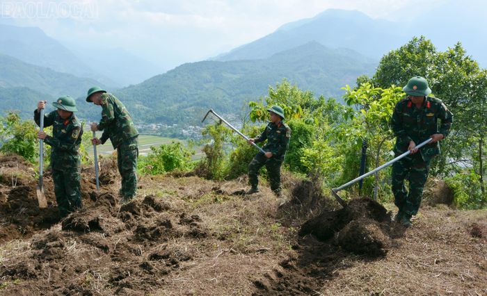 Các lực lượng huy động hơn 2.300 ngày công để tổ chức tìm kiếm, quy tập hài cốt liệt sĩ.