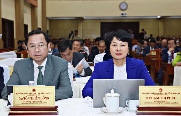 Đồng chí Phạm Thị Phúc, Phó Bí thư Tỉnh ủy, Chủ tịch Ủy ban MTTQ Việt Nam tỉnh và đồng chí Tôn Thiện Đồng, Ủy viên Ban Thường vụ Tỉnh ủy, Trưởng Ban Tổ chức Tỉnh ủy dự kỳ họp