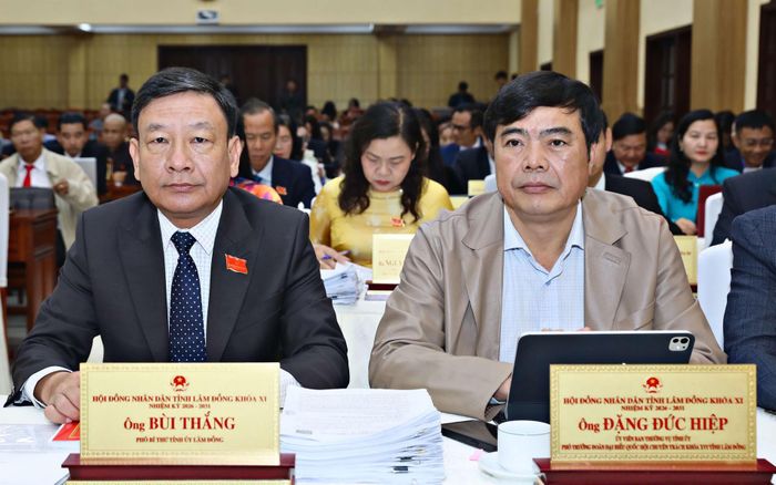 Đồng chí Bùi Thắng, Phó Bí thư Tỉnh ủy và đồng chí Đặng Đức Hiệp, Ủy viên Ban Thường vụ Tỉnh ủy, Phó Trưởng Đoàn chuyên trách Đoàn ĐBQH tỉnh Lâm Đồng tham dự kỳ họp