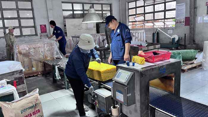 Chế biến mủ cao su xuất khẩu ở khu vực Đông Nam Lâm Đồng