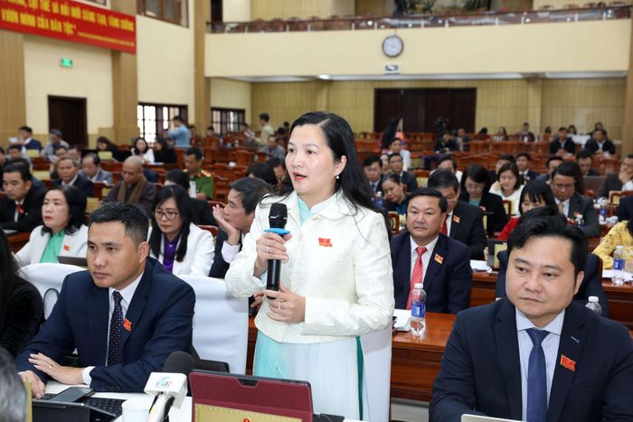 Đại biểu Trần Thị Chúc Quỳnh đặt câu hỏi chất vấn lãnh đạo Sở Khoa học và Công nghệ tại kỳ họp