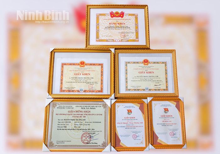 Bảng thành tích khẳng định quá trình phấn đấu bền bỉ của cậu học trò đất học.