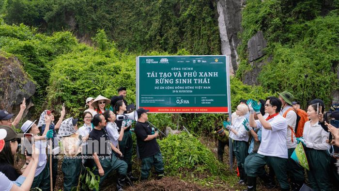 Công trình tái tạo và phủ xanh rừng sinh thái tại Khu Bảo tồn Thiên nhiên đất ngập nước Vân Long.