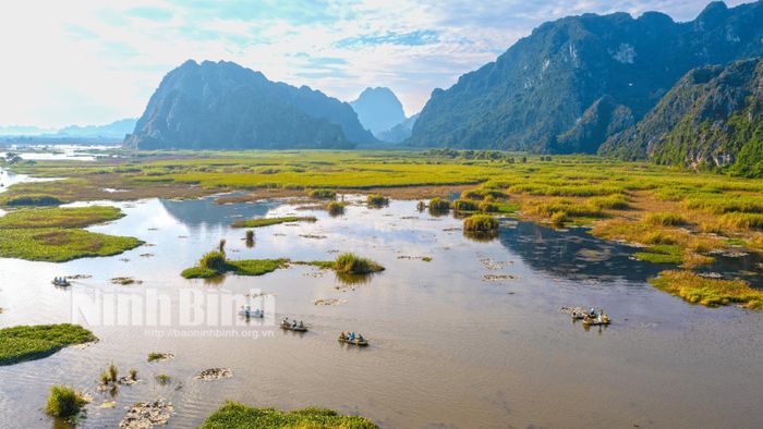 Quang cảnh khu bảo tồn đất ngập nước Vân Long nguyên sơ.