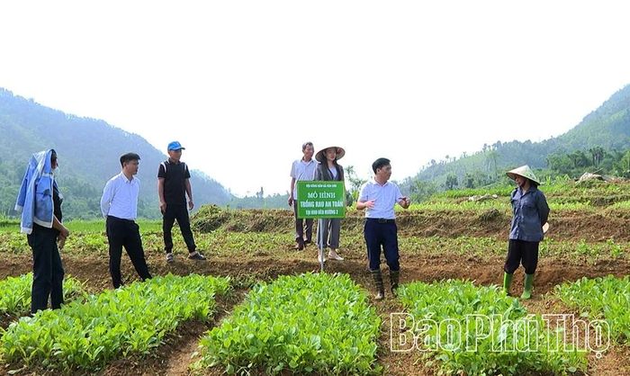 Những mô hình mới, cách làm hay đang mang đến những tín hiệu tích cực cho vùng đất khó.