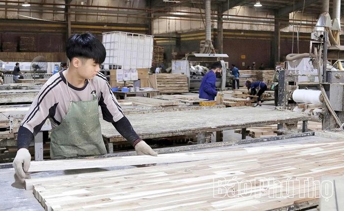 Sản xuất gỗ thanh xuất khẩu tại Công ty cổ phần Gemmy Tân Sơn (CCN Tân Phú).