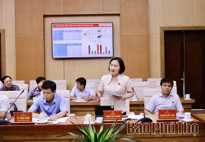 Phó Chủ nhiệm Ủy ban Kinh tế và Tài chính của Quốc hội Phạm Thúy Chinh phát biểu tại buổi làm việc.