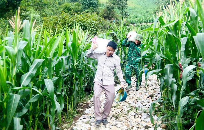 Cán bộ, chiến sĩ vác từng can nước vượt đèo dốc, góp sức mở đường.