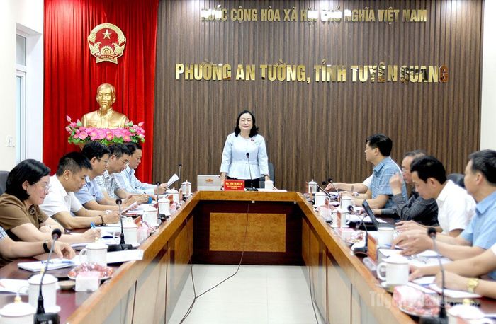 Đồng chí Trần Thị Hoa Ry, Phó Chủ tịch Hội đồng Dân tộc của Quốc hội phát biểu tại buổi làm việc.