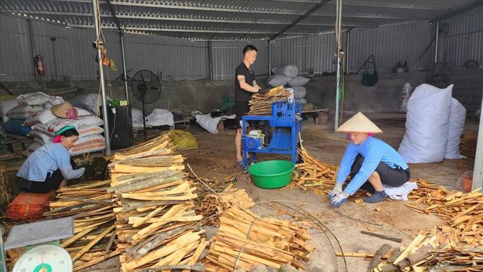 Trong 6 tháng đầu năm, cho vay lĩnh vực nông nghiệp - nông thôn của Quảng Ninh đạt 33.800 tỷ đồng. Ảnh T.D