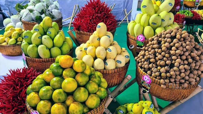 6 tháng đầu năm 2026, tổng kim ngạch xuất khẩu nông, lâm, thủy sản ước đạt 35,88 tỷ USD, tăng 6% so với cùng kỳ năm trước.