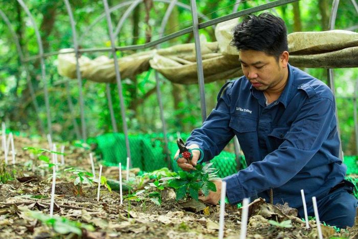 Xuất khẩu nông sản Việt Nam duy trì đà tăng trưởng tích cực trong nửa đầu năm 2026