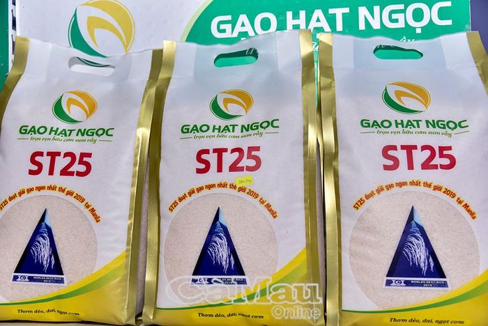 Gạo ST25 đoạt giải gạo ngon nhất thế giới được quảng bá đến người tiêu dùng.