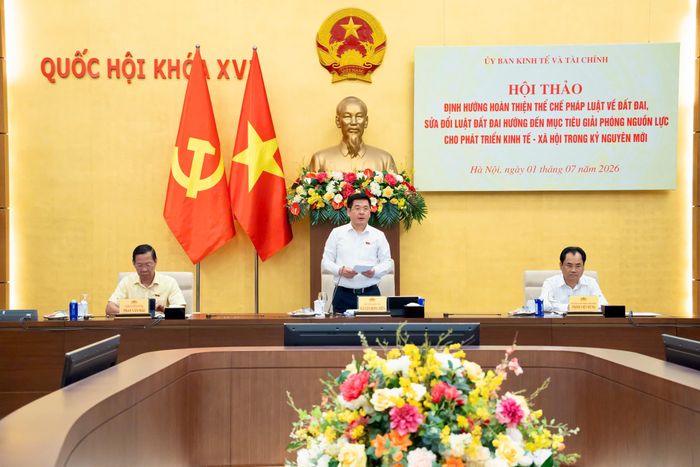 Phó Chủ tịch Quốc hội Nguyễn Hồng Diên phát biểu chỉ đạo Hội thảo. Ảnh: VPQH