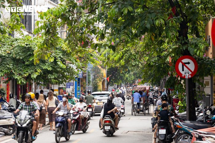 Đối với xe tải sử dụng nhiên liệu hóa thạch (trừ phương tiện thuộc Bộ Quốc phòng và Bộ Công an), việc lưu thông tiếp tục thực hiện theo quy định hiện hành của UBND TP Hà Nội.