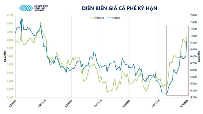 Diễn biến giá cà phê kỳ hạn. Nguồn: MXV