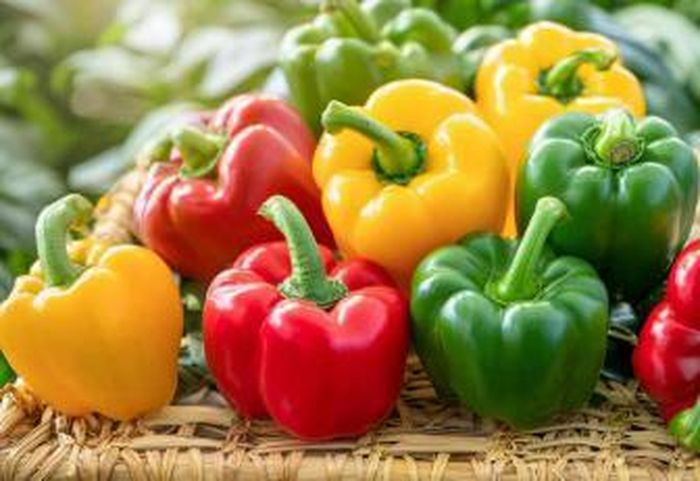 Một số nghiên cứu của Nhật Bản ghi nhận ớt chuông nằm trong nhóm rau quả có tiềm năng hỗ trợ phòng ngừa ung thư nhờ hàm lượng chất chống oxy hóa cao.