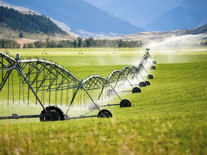 Mô hình canh tác tiết kiệm nước được áp dụng ở nhiều nơi.