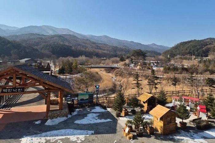  Toàn cảnh Vườn thực vật quốc gia Baekdudaegan ở huyện Bonghwa, tỉnh Bắc Gyeongsang. Ảnh: Korea Times. 