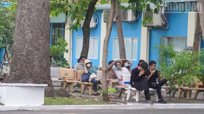 Thân nhân người bệnh ngồi chờ thư thả trong khuôn viên cây xanh Bệnh viện Phạm Ngọc Thạch.