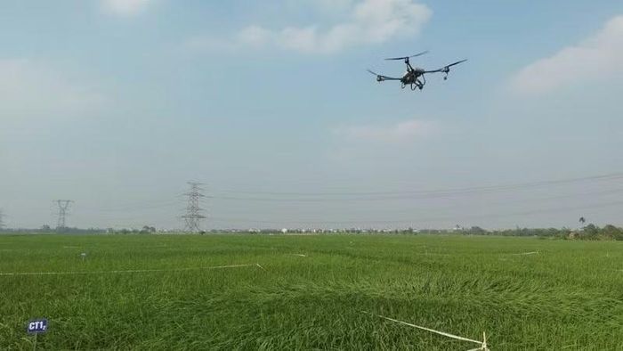 Sử dụng Drone phun thuốc bảo vệ thực vật. (Ảnh: BÍCH HỒNG)