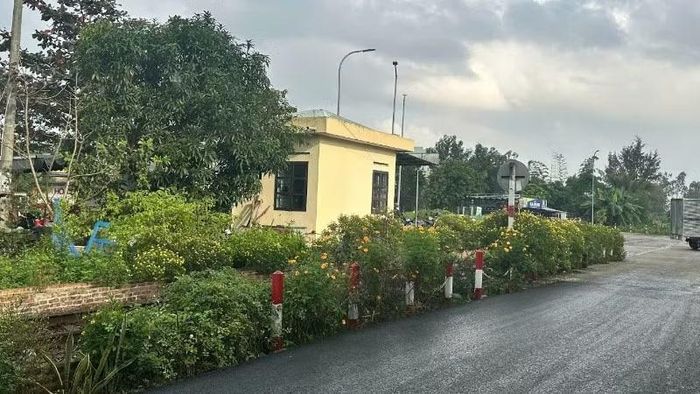 Cảnh quan ngày càng xanh, sạch, đẹp.