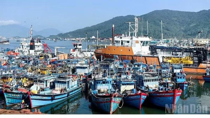 Cục Quản lý đê điều và Phòng, chống thiên tai yêu cầu các địa phương tiếp tục thông báo cho chủ phương tiện, thuyền trưởng và ngư dân nắm chắc diễn biến bão để chủ động tránh trú an toàn.
