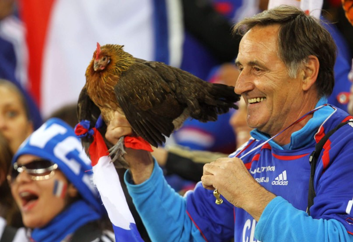  Cổ động viên Clément Tomaszewski và một trong số những chú gà Balthazar của ông tham dự World Cup 2010 tại Nam Phi. Ảnh: Getty Images 