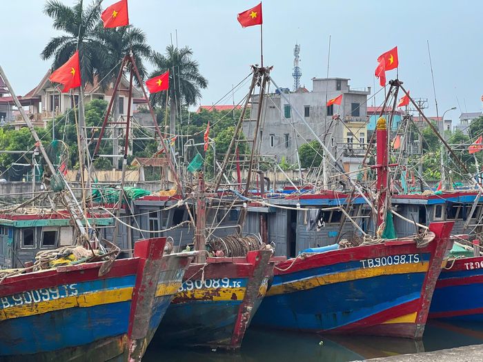 Tàu thuyền neo đậu ở Vân Đồn (tỉnh Quảng Ninh). Ảnh tư liệu: PHÚC HẬU