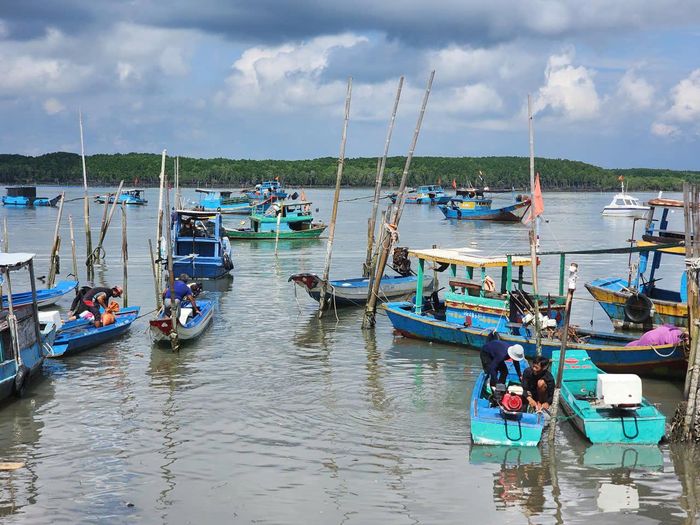  Một góc xã đảo Thạnh An (TPHCM) 