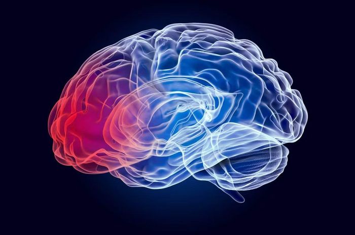 Ảnh: Parkinson's New Zealand
