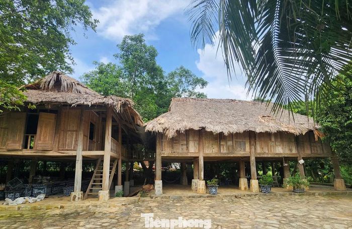 Hai căn nhà sàn trong khuôn viên dự án đang được dùng làm nơi ở, sinh hoạt của công nhân.