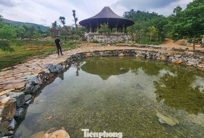 Theo người dân địa phương, khu vực đất dựng nhà, làm bể bơi này được chủ đầu tư dự án Khu du lịch và nghỉ dưỡng sinh thái suối khoáng nóng Thành Minh mua lại đất của các hộ dân liền kề. Doanh nghiệp sau đó mua nhà sàn gỗ từ nơi khác mang về dựng và cải tạo các bể bơi.