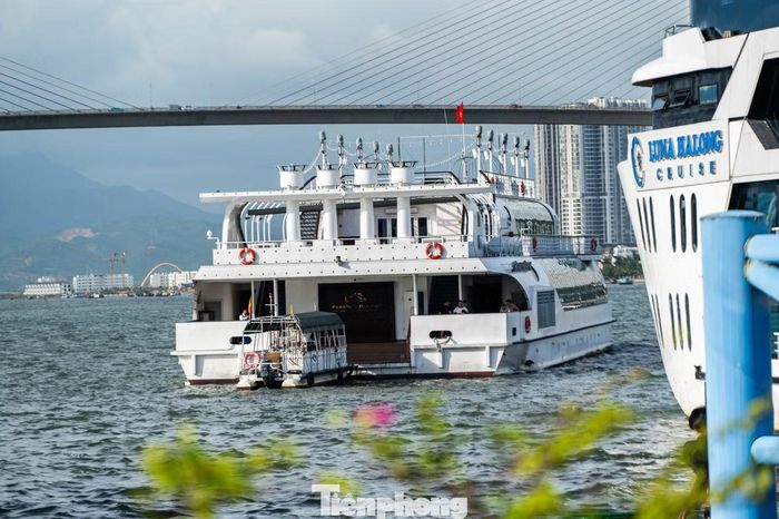 Tàu du lịch sau khi trả khách cũng quay đầu, rời khỏi cảng để đi trú bão.