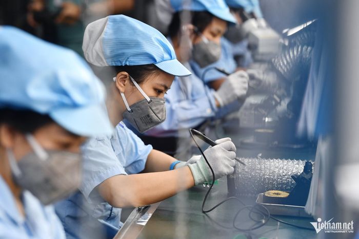 Việt Nam phải nâng cao năng suất lao động và chất lượng nguồn nhân lực, tập trung đào tạo đội ngũ lao động có kỹ năng cao trong các lĩnh vực như công nghệ, trí tuệ nhân tạo, dữ liệu, bán dẫn, logistics... Ảnh: Hoàng Hà