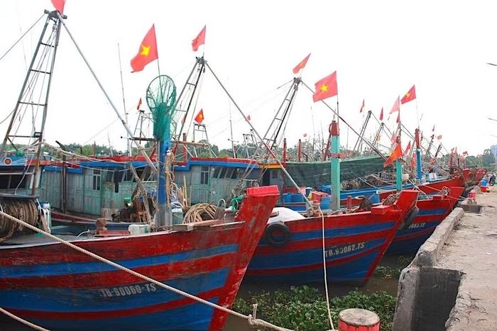 Tàu thuyền neo đậu tại Cảng cá Tân Sơn (xã Thái Thụy, Hưng Yên). Ảnh: Đinh Chiến