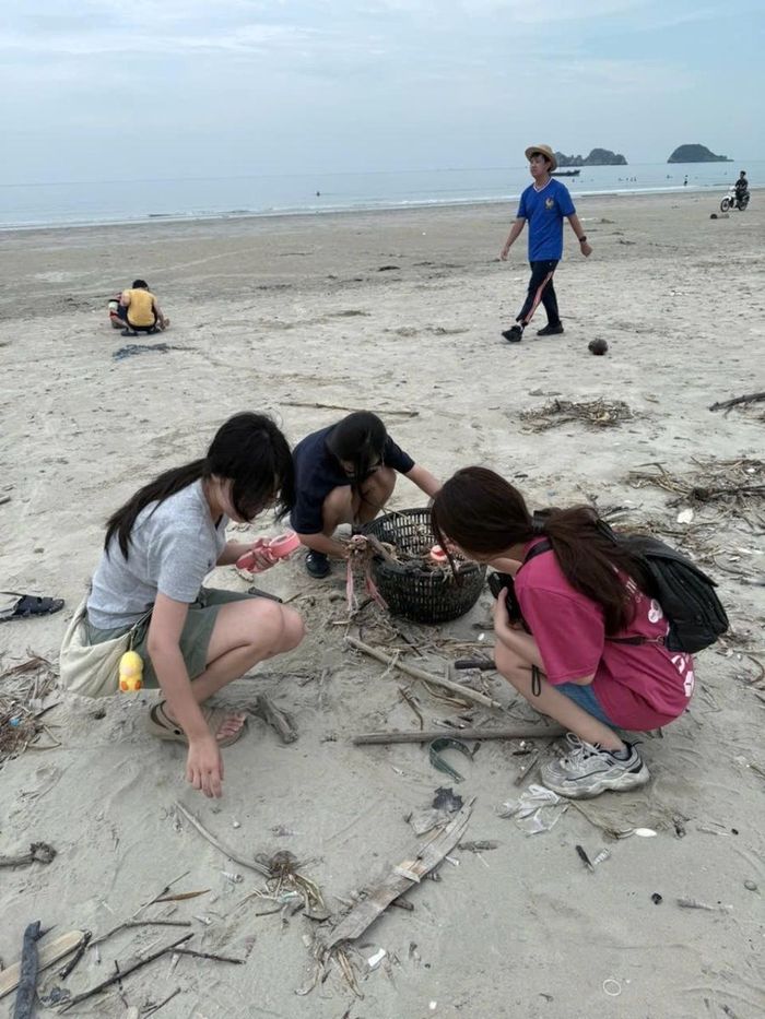 The World Is Your Oyster - Youth Summer Camp 2026 tham gia thu gom rác, làm sạch bãi biển, phân loại rác và trồng cây xanh.