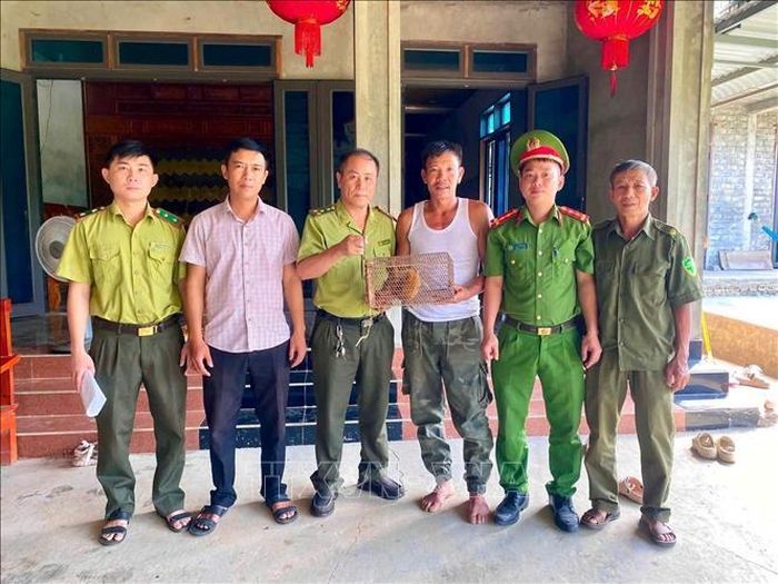 Công an xã Tuyên Phú phối hợp với UBND xã và Trạm Kiểm lâm Mai Hóa tiếp nhận cu li (Nycticebus) nặng khoảng 1 kg do người dân giao nộp. Ảnh: TTXVN phát