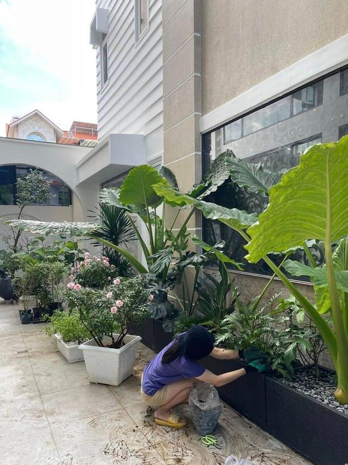 Là người yêu thiên nhiên nên khắp nơi trong biệt thự của gia đình Vân Trang đều ngập tràn cây hoa rực rỡ sắc màu.