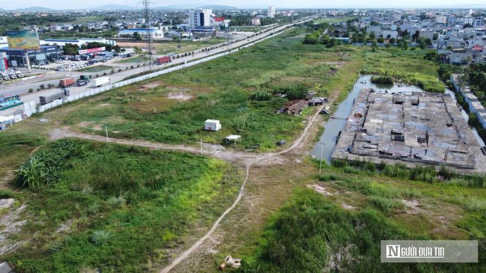 Bên trong dự án chủ yếu là bãi đất hoang cỏ mọc um tùm.