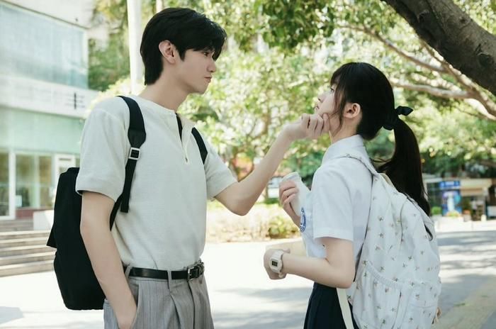 Vụng Trộm Không Thể Giấu đưa khán giả theo dõi tình cảm âm thầm của Tang Trĩ dành cho Đoàn Gia Hứa - người bạn thân của anh trai cô. Từ cô bé nhỏ tuổi luôn tìm cách xuất hiện trước mặt "anh Gia Hứa", Tang Trĩ dần trưởng thành, mang theo tình cảm bền bỉ suốt nhiều năm. Khi học đại học tại cùng thành phố, khoảng cách giữa cả hai dần được thu hẹp, mở ra một chuyện tình nhẹ nhàng, ngọt ngào nhưng cũng giàu cảm giác chữa lành.